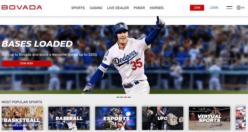 Bovada Design