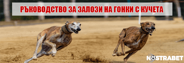 гонки с кучета - ръководство