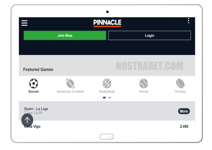 pinnacle mobile website version
