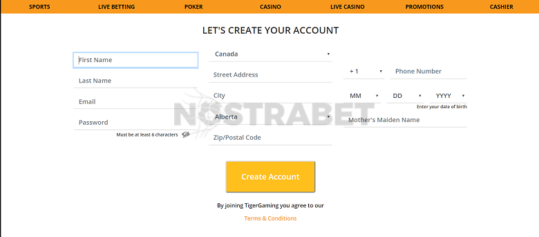 Registration at TigerGaming